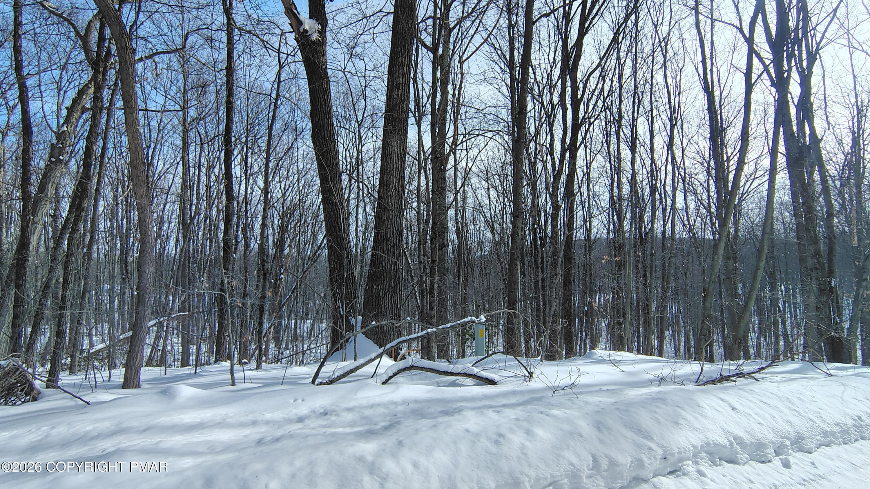 73 Oak Lane Waymart, PA 18472 - Photo 4 of 5 a view of three trees with wooden fence