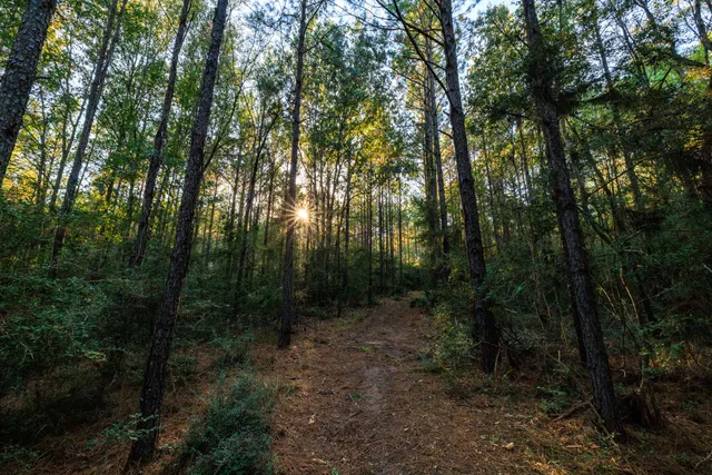 a view of lake with green space