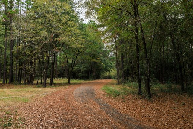 $8,576,125 | 2258 Farm To Market Road 3459, Onalaska, TX 77360