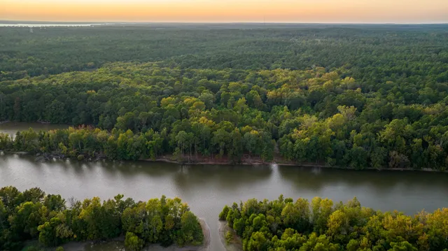 an aerial view of residential houses with outdoor and green space
