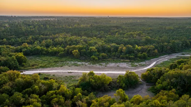 an aerial view of residential houses with outdoor space and trees