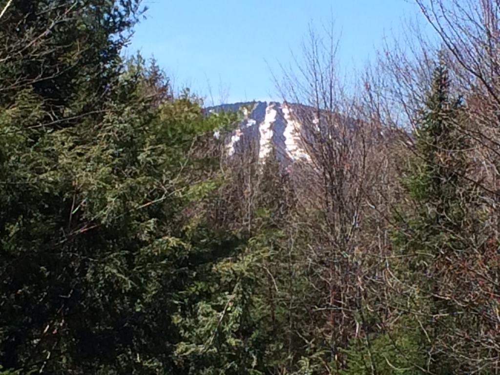 9 Greentree Road Winhall, VT 05340 - Photo 2 of 22
