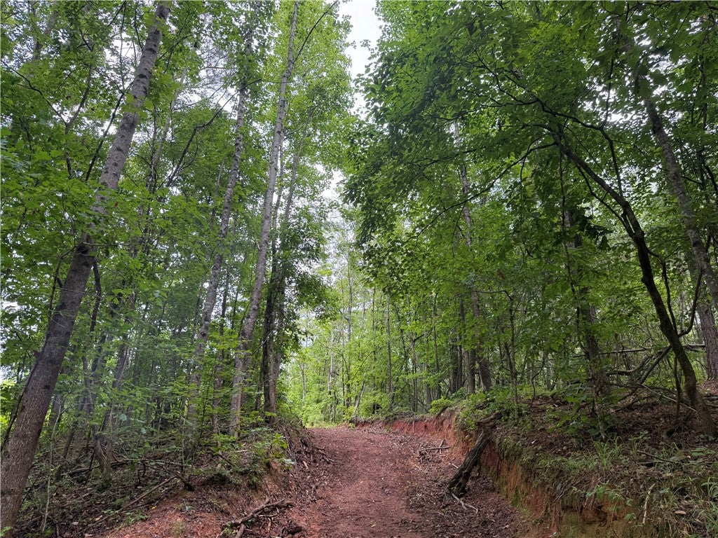 0 Lindsey Road Coosada, AL 36020 - Photo 13 of 31 Gallery Image 13
