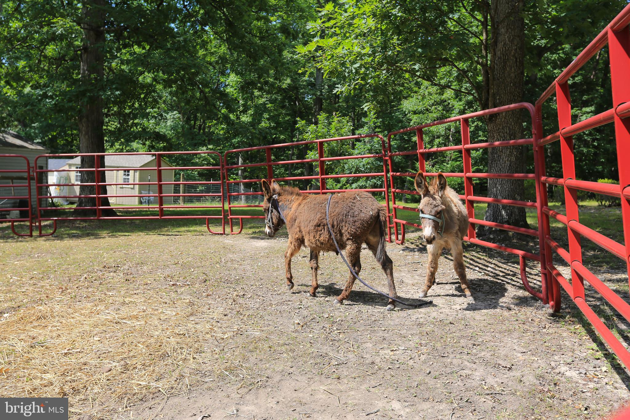 296 Gough Road Winchester, VA 22602 - Photo 54 of 62 Gallery Image 54