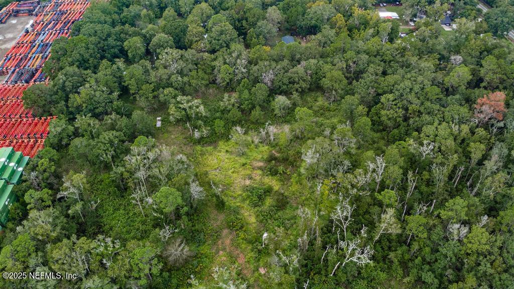 9032 New Kings Road Jacksonville, FL 32219 - Photo 19 of 23 a view of a lush green forest with lots of trees