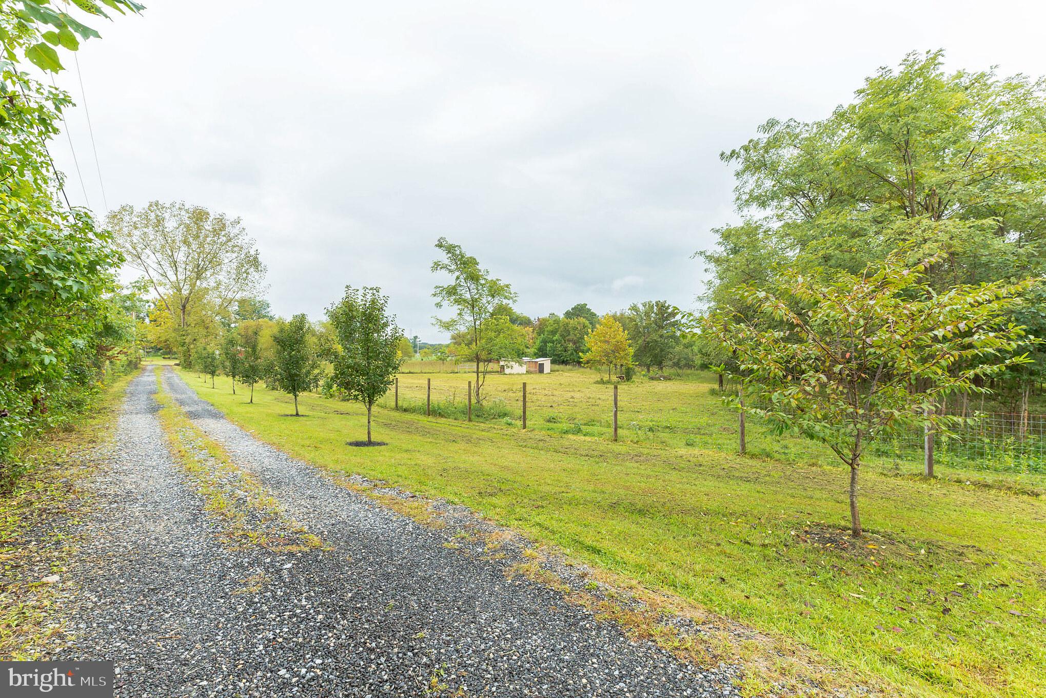 287 Cedar Road Mullica Hill, NJ 08062 - Photo 3 of 38 Gallery Image 3
