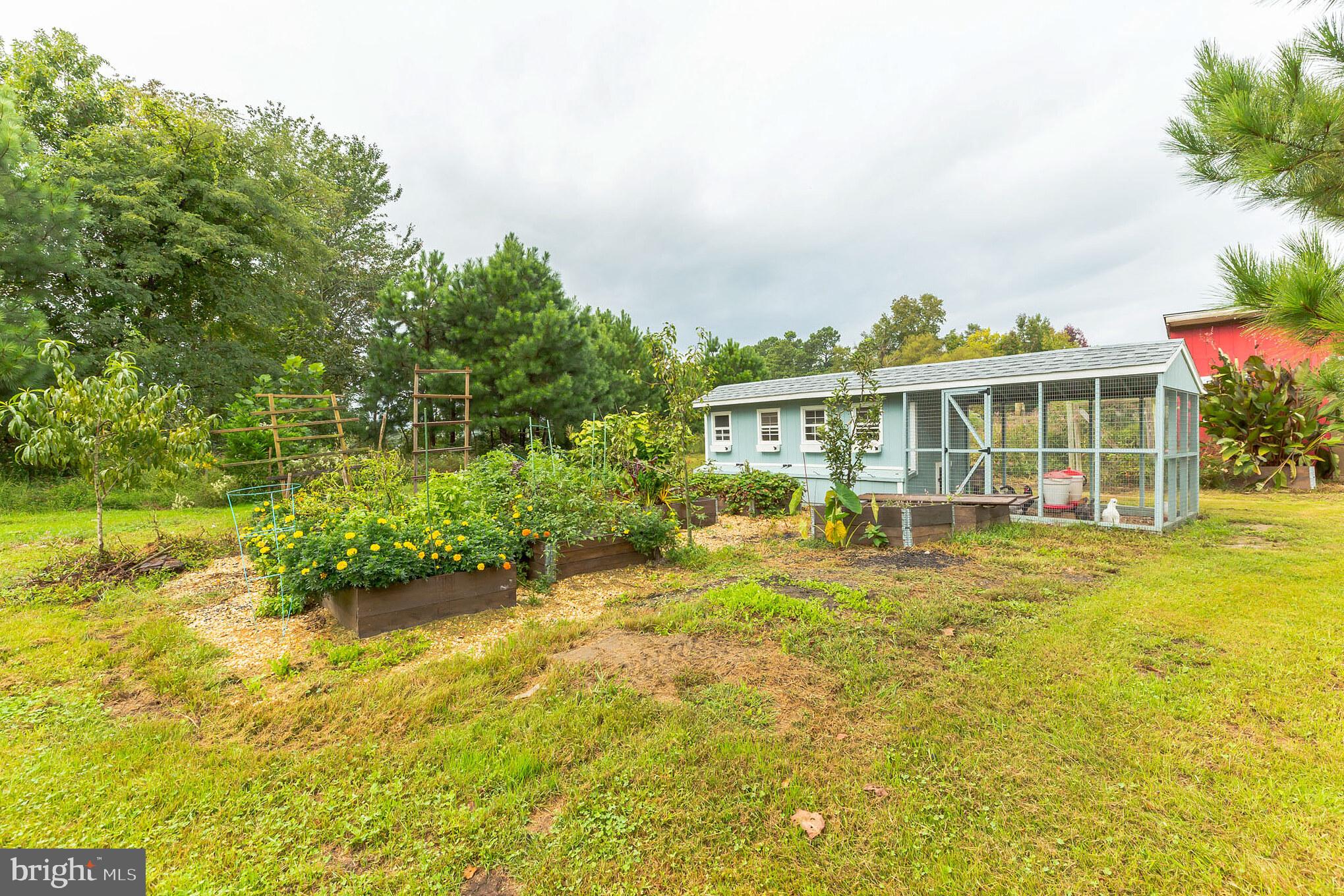 287 Cedar Road Mullica Hill, NJ 08062 - Photo 34 of 38 Gallery Image 34