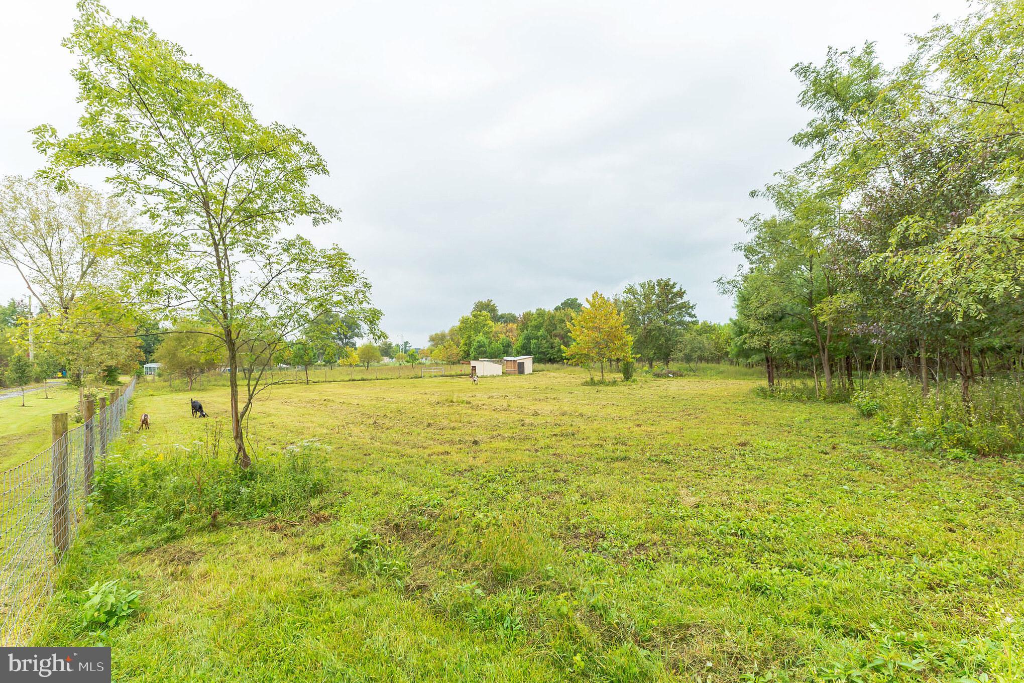 287 Cedar Road Mullica Hill, NJ 08062 - Photo 36 of 38 Gallery Image 36