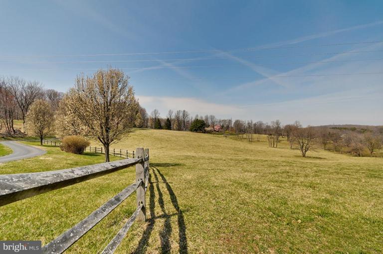 39766 Thomas Mill Road Leesburg, VA 20175 - Photo 20 of 30 Pasture