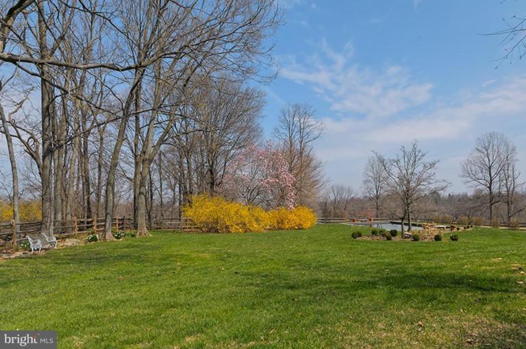 39766 Thomas Mill Road Leesburg, VA 20175 - Photo 3 of 30 Wooded View / Acreage