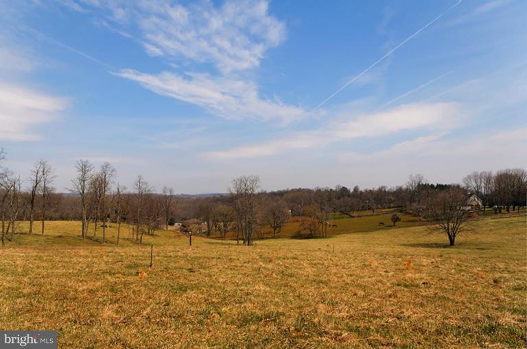 39766 Thomas Mill Road Leesburg, VA 20175 - Photo 25 of 30 Other #1