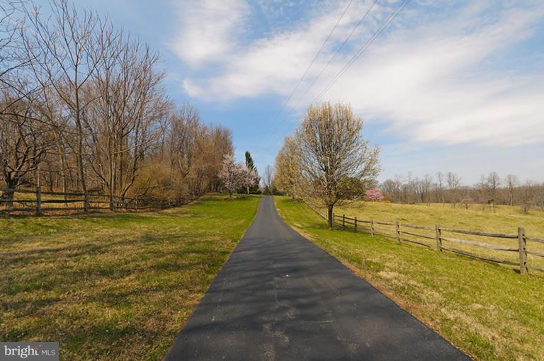 39766 Thomas Mill Road Leesburg, VA 20175 - Photo 5 of 30 Wooded View / Acreage 2