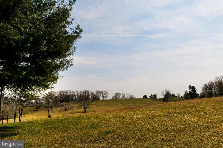 39766 Thomas Mill Road Leesburg, VA 20175 - Photo 9 of 30 Wooded View / Acreage 3