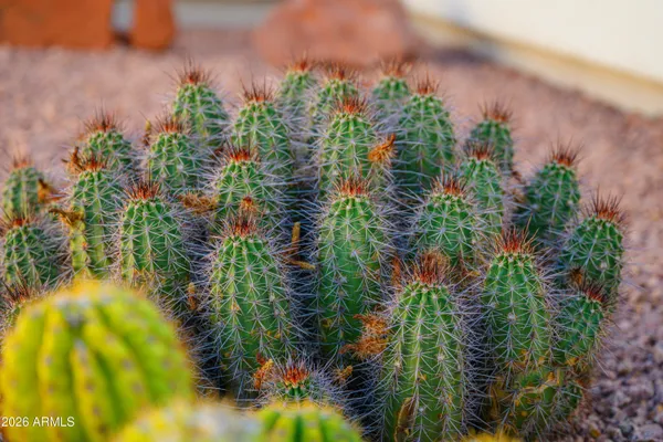 $448,000 | 4952 East Catalina Court, Cornville, AZ 86325