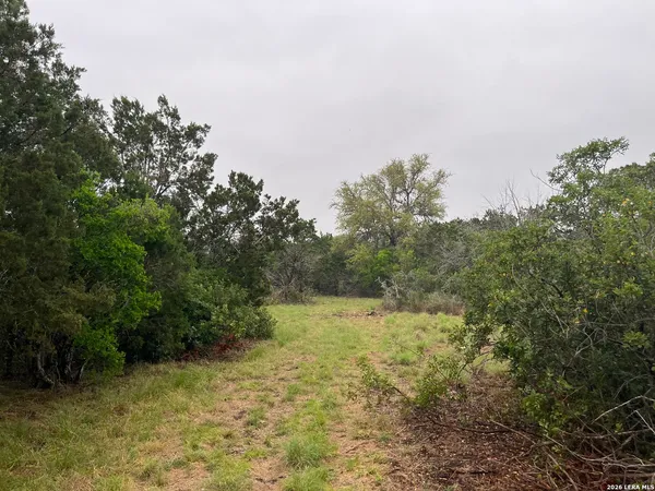 $200,000 | 111 Pr 3325 Uvalde Tx 78838, Sabinal, TX 78881