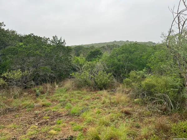 $200,000 | 111 Pr 3325 Uvalde Tx 78838, Sabinal, TX 78881