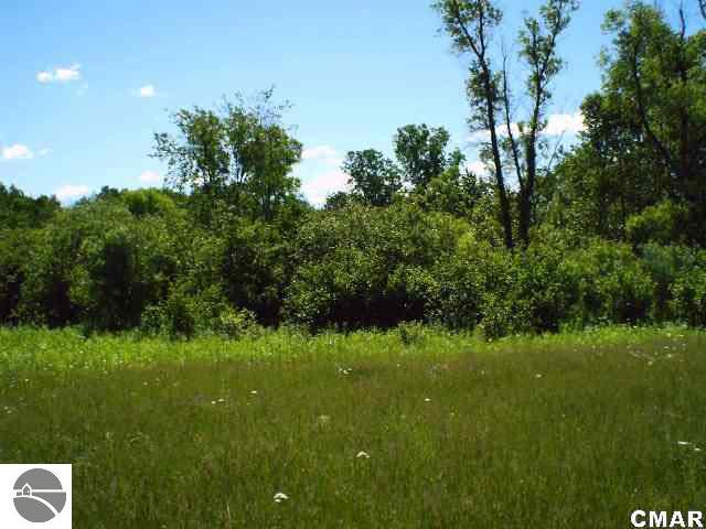 Tbd Tbd Brinton Road Blanchard, MI 49310 - Photo 22 of 24 1769811-22.JPG