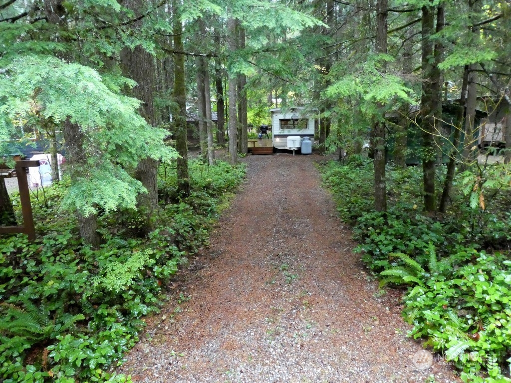 90-2 Wilderness Way Maple Falls, WA 98266 - Photo 27 of 39 a view of a back yard with trees