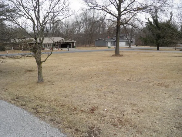 a view of yard with trees