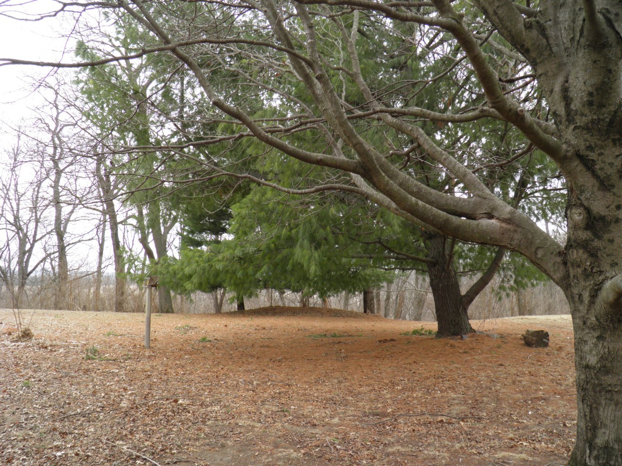 2264 Ridgeview Drive Muscatine, IA 52761 - Photo 29 of 33 a view of outdoor space and yard