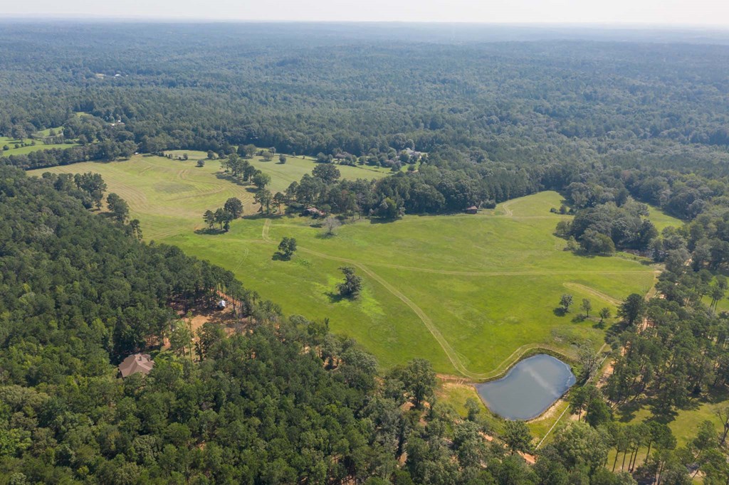 11550 County Line Road Midland, GA 31820 - Photo 4 of 22