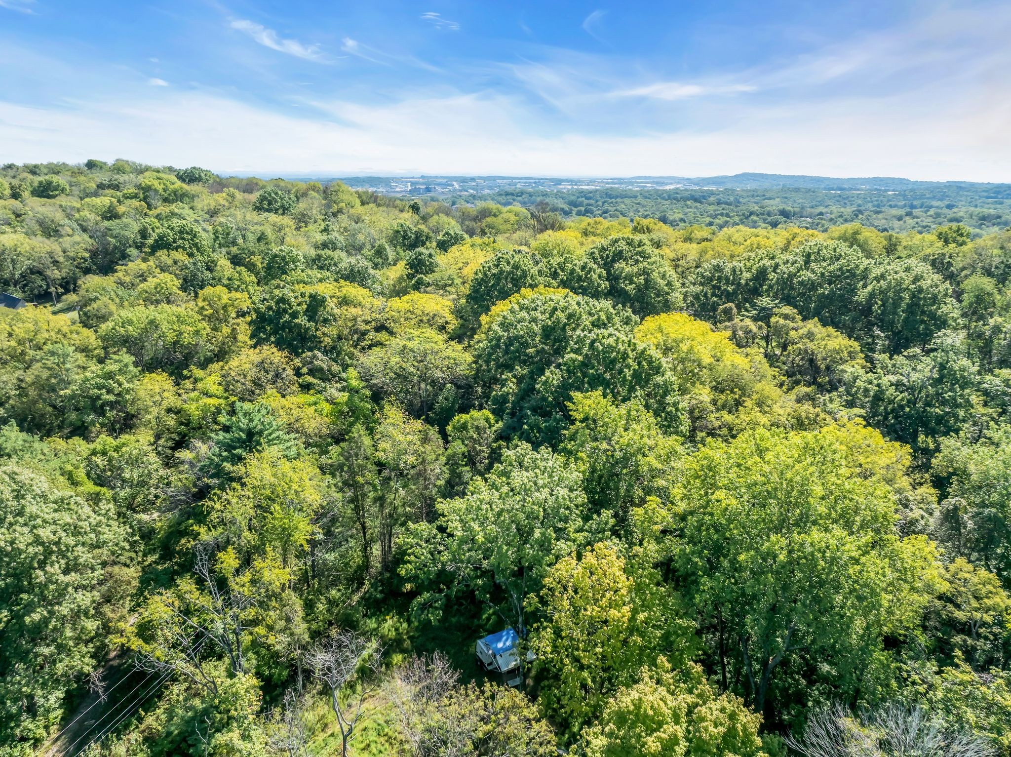 5882 Cane Ridge Road Antioch, TN 37013 - Photo 12 of 17 a view of a city with lush green forest