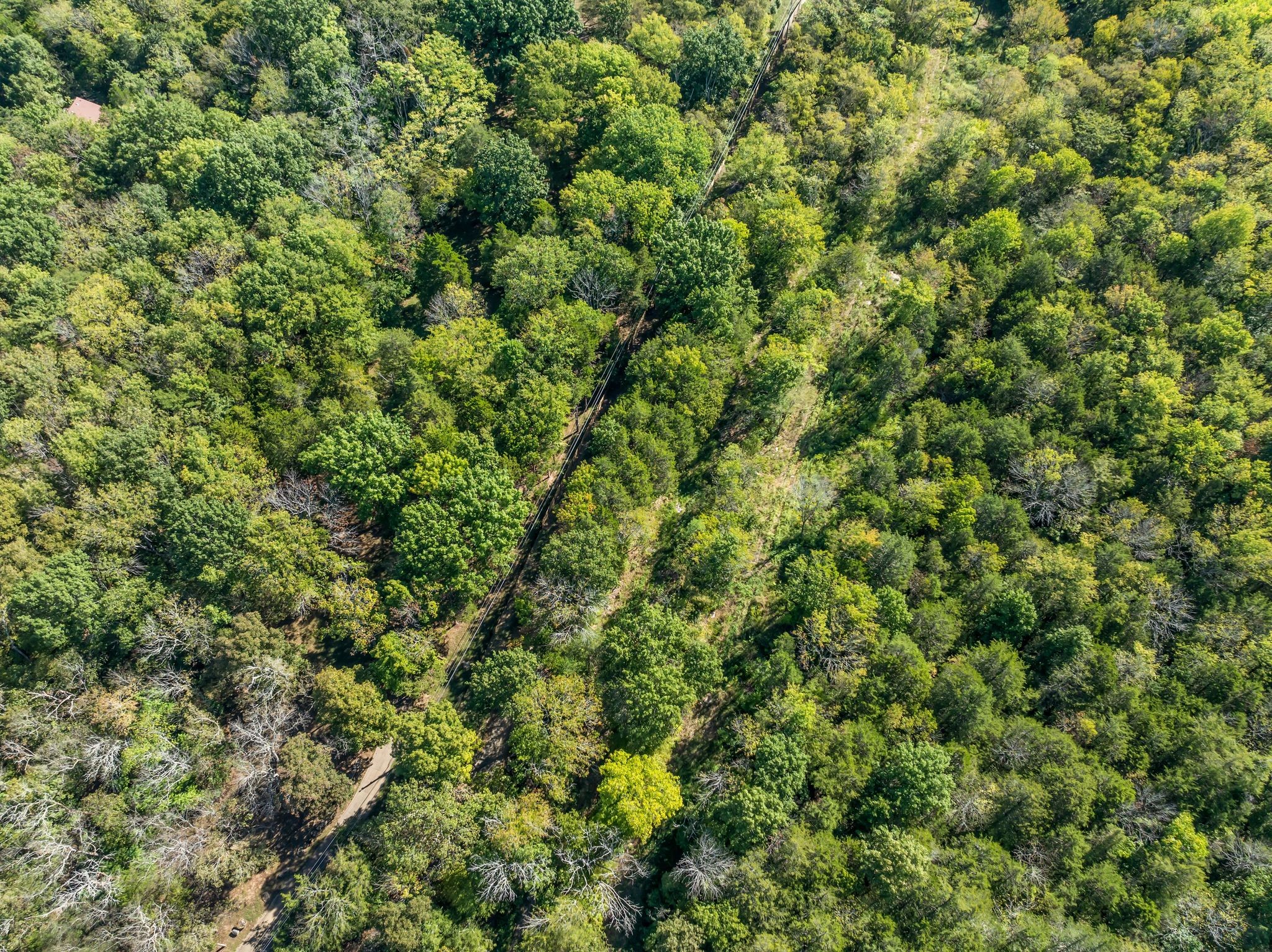 5882 Cane Ridge Road Antioch, TN 37013 - Photo 6 of 17 an outdoor view of a house with a tree