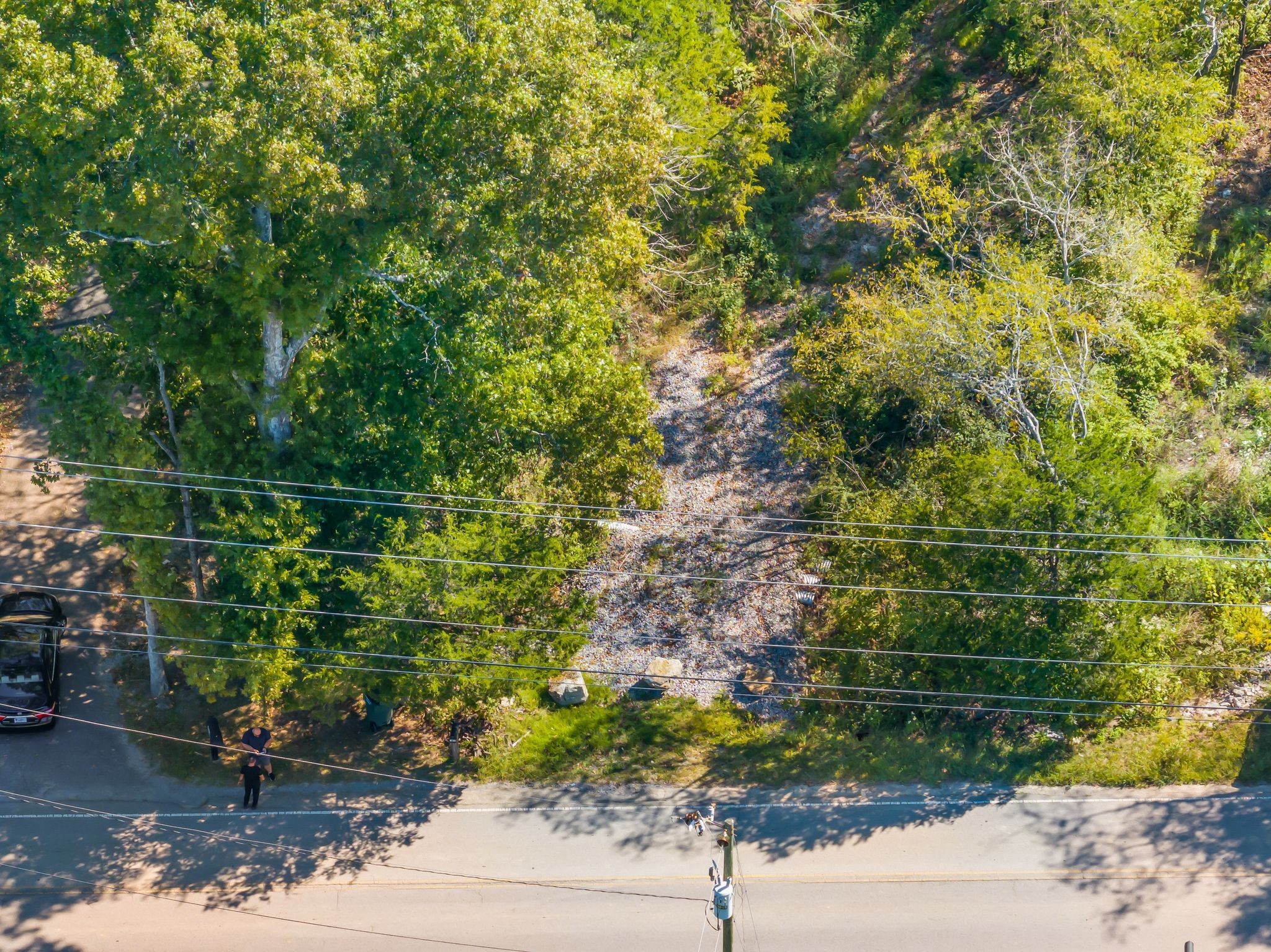 5882 Cane Ridge Road Antioch, TN 37013 - Photo 8 of 17 a view of a yard