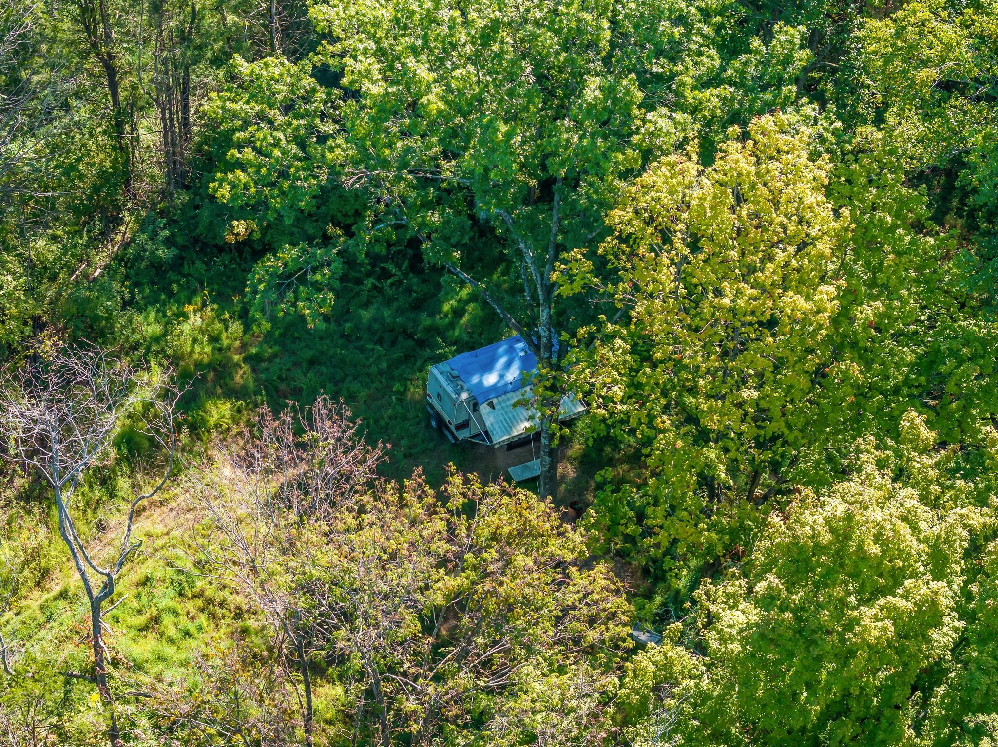 5882 Cane Ridge Road Antioch, TN 37013 - Photo 10 of 17 a backyard of a house with table and chairs