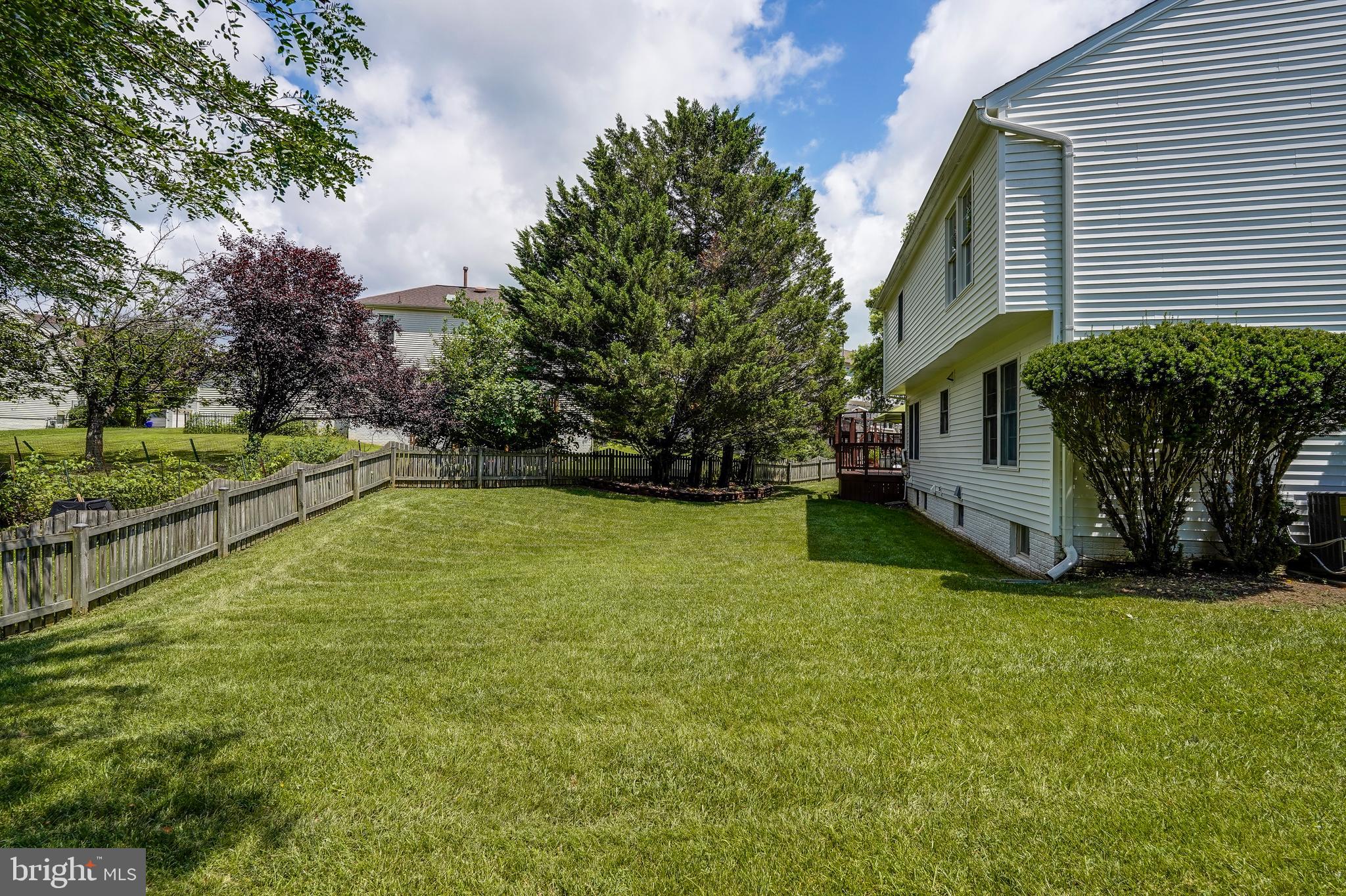 701 Stratford Manor Terrace Silver Spring, MD 20905 - Photo 37 of 43 a view of a house with backyard and a tree