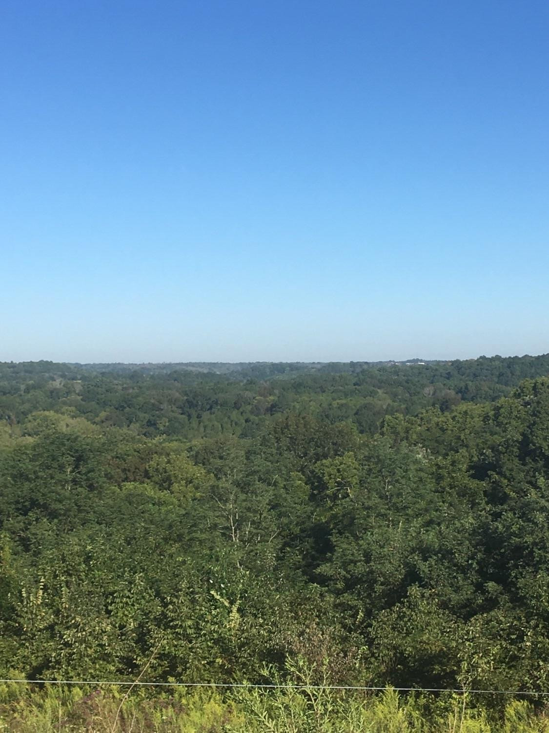 0 Kendall Road Dry Ridge, KY 41035 - Photo 2 of 5