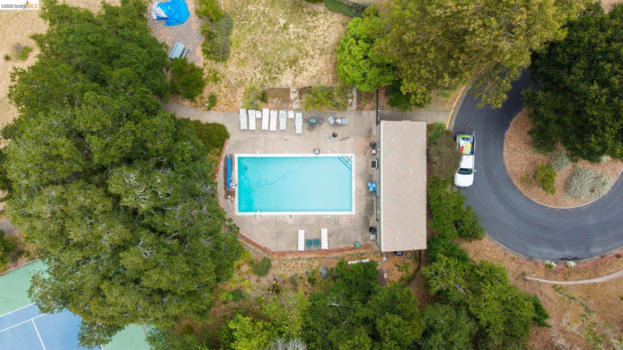 201 Vista Heights Road El Cerrito, CA 94530 - Photo 29 of 32 Rectangular swimming pool with a surrounding concrete patio, bordered by mature trees and a tennis court