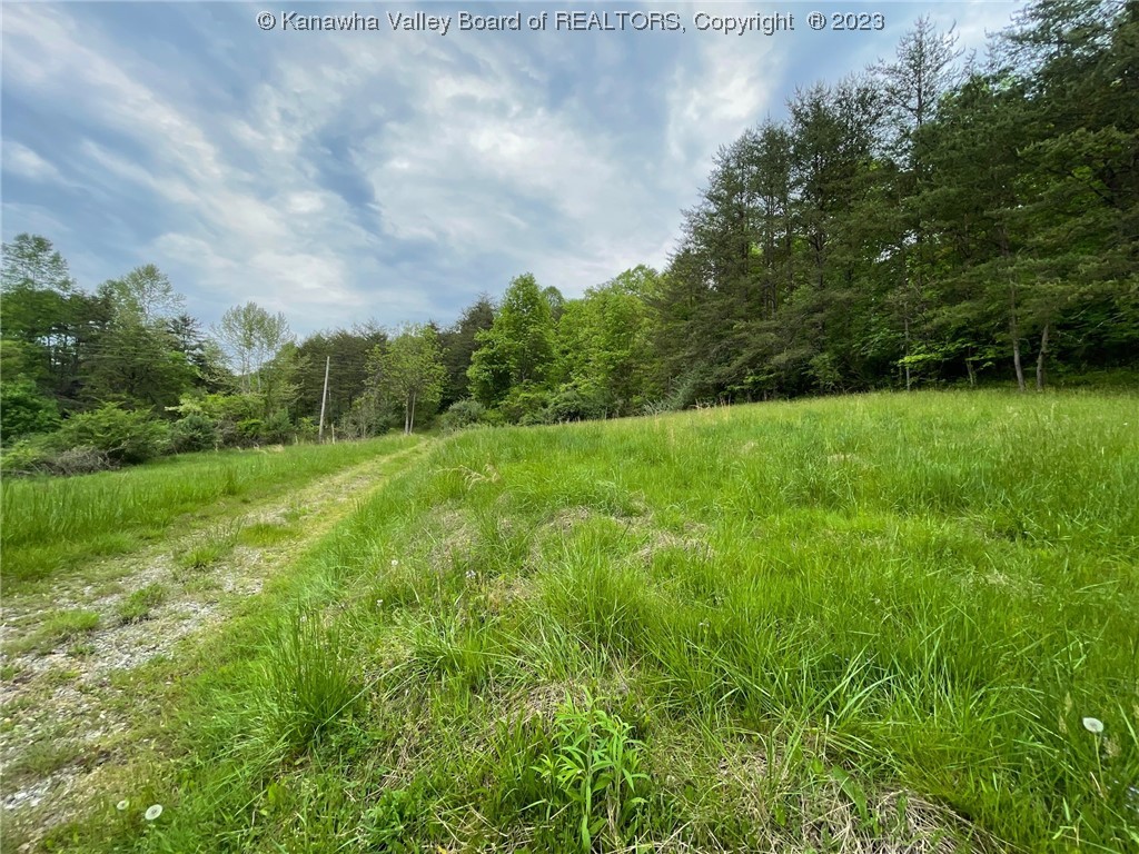 3781 Ovapa Road Procious, WV 25164 - Photo 6 of 17 Gallery Image 6