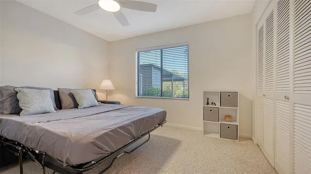 a view of a yard with palm tree