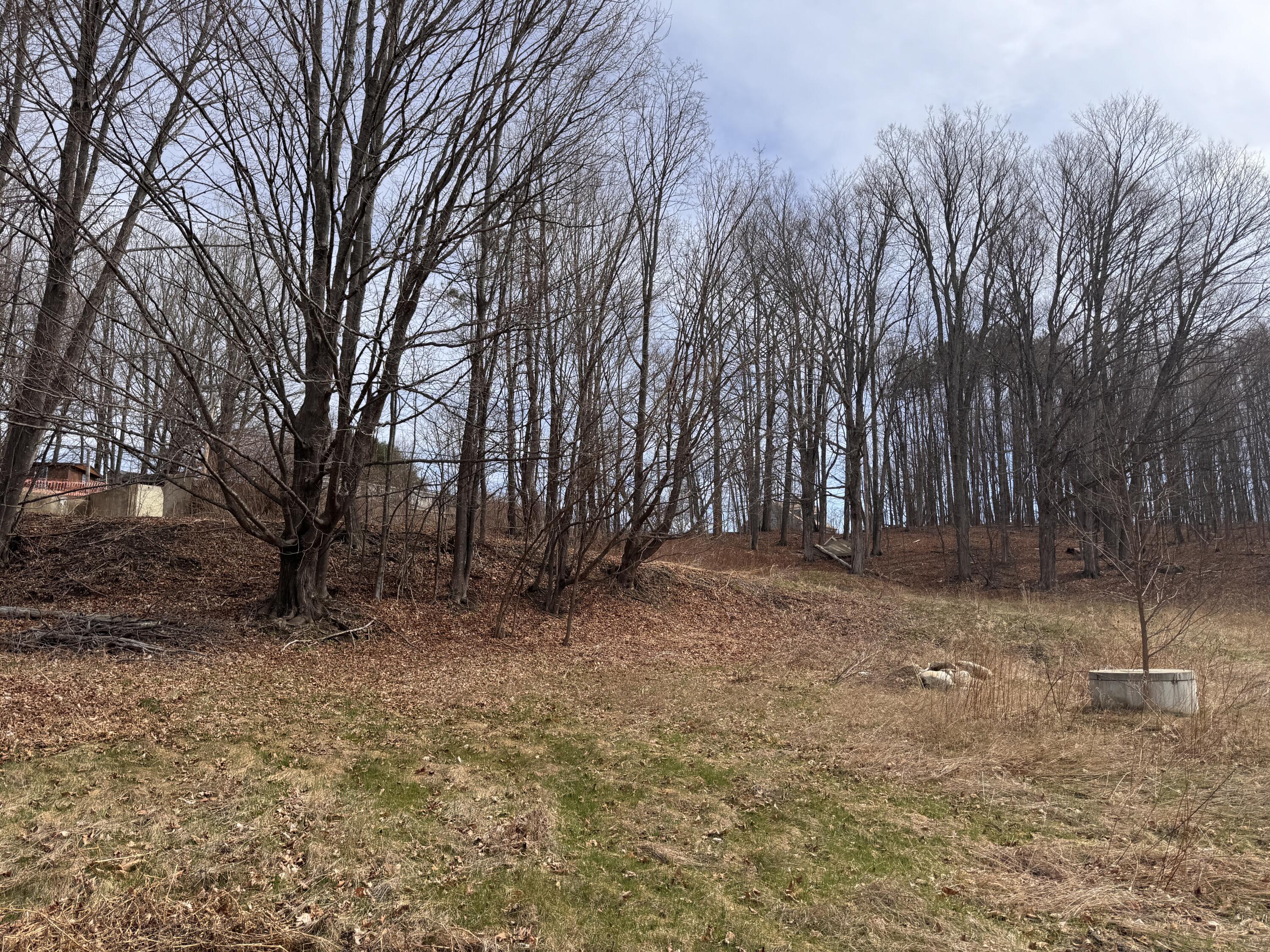 5 Haines Corner Road Livermore Falls, ME 04254 - Photo 2 of 9 IMG_8092