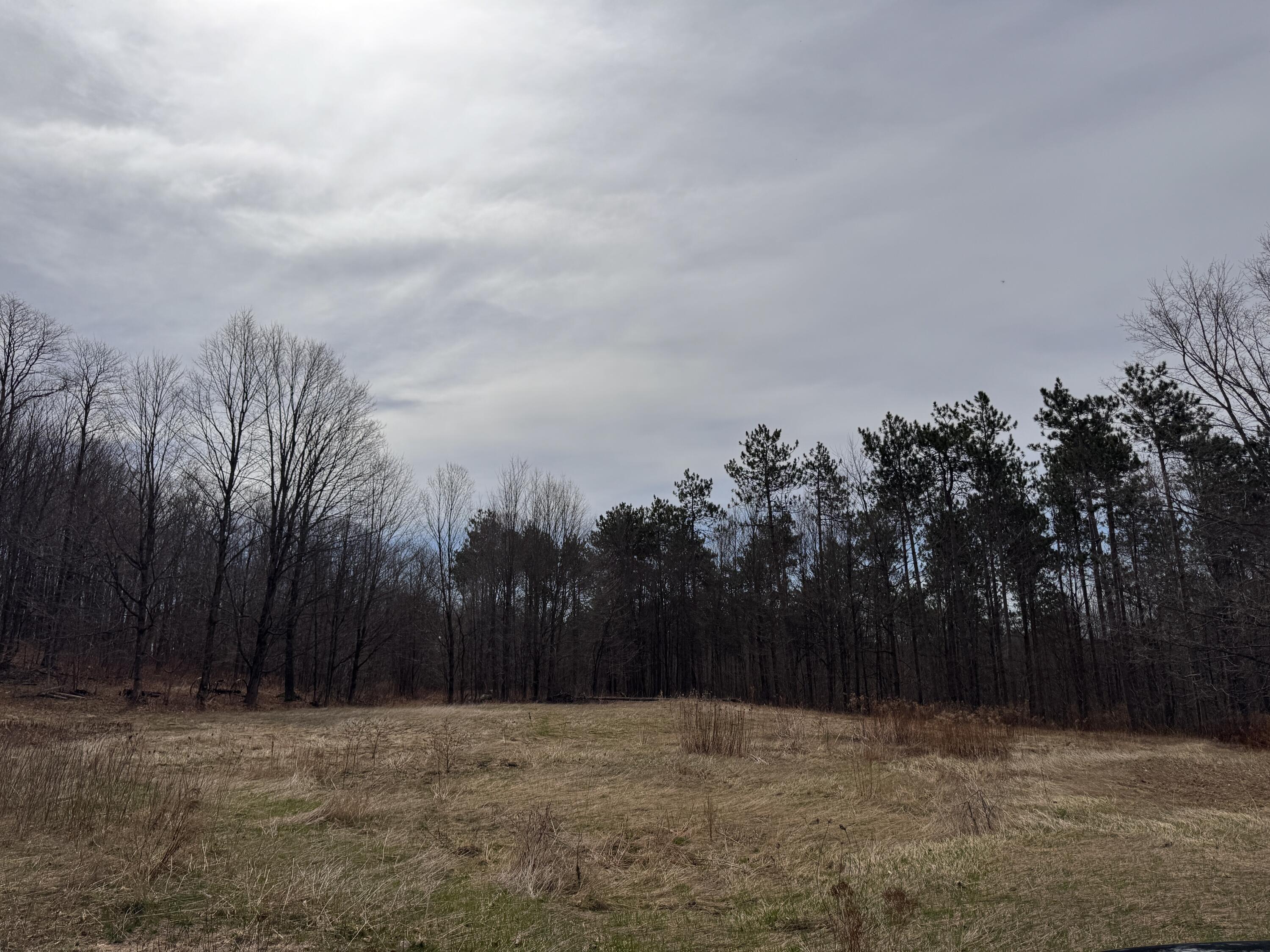 5 Haines Corner Road Livermore Falls, ME 04254 - Photo 8 of 9 IMG_8090