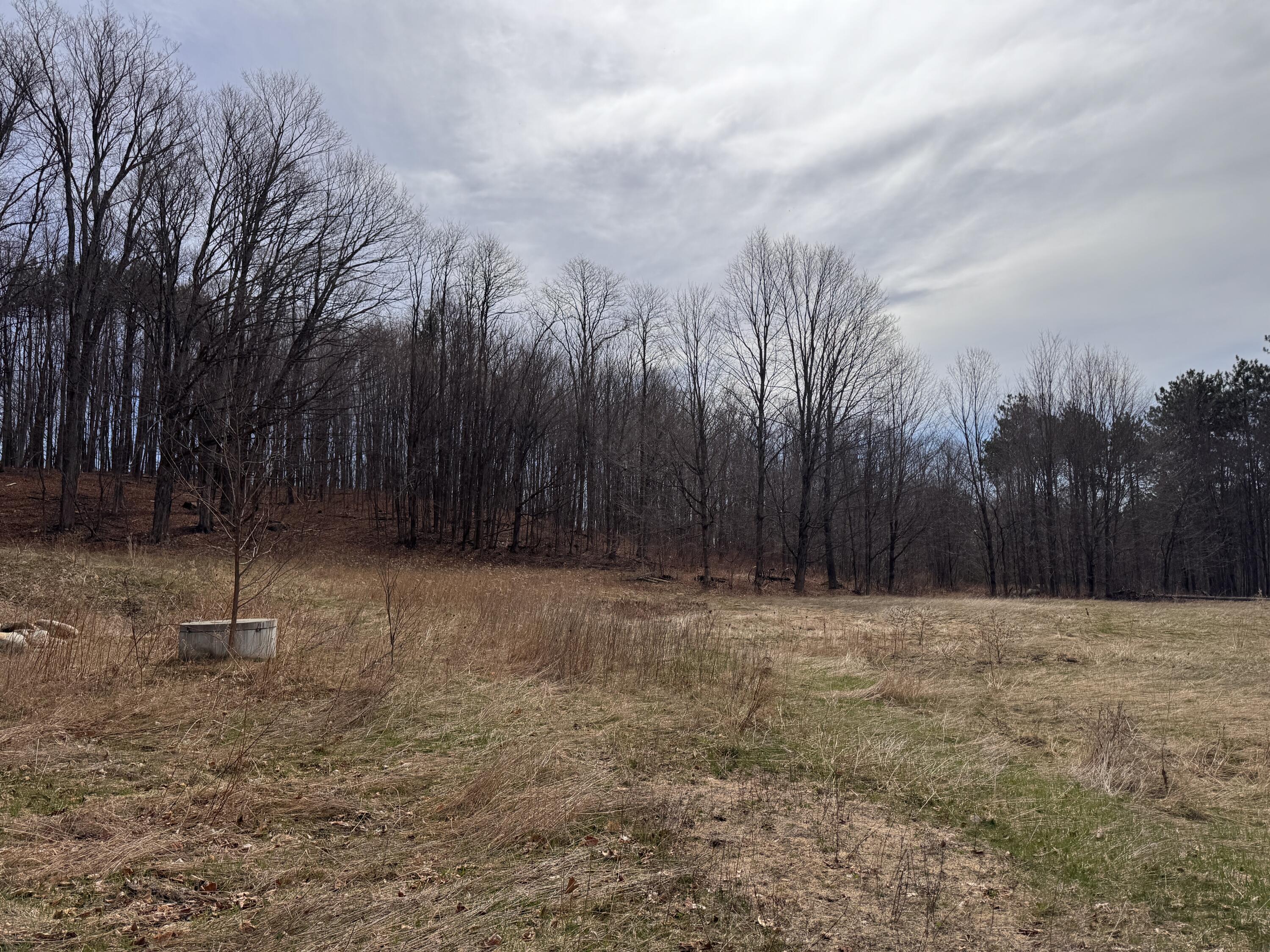 5 Haines Corner Road Livermore Falls, ME 04254 - Photo 9 of 9 IMG_8091