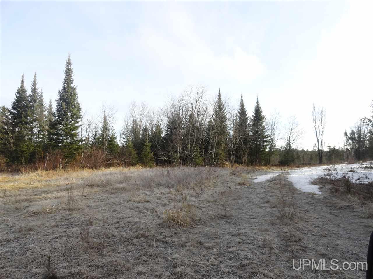 116-acres 116-acres Co Road Negaunee, MI 49866 - Photo 10 of 37
