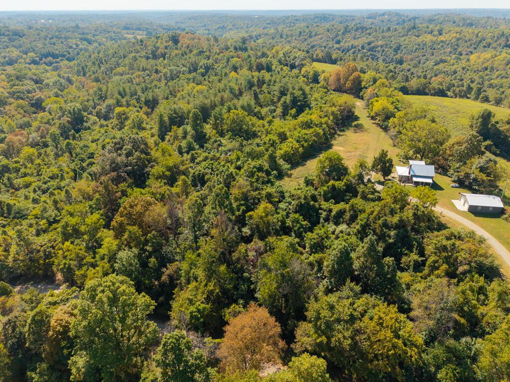 0 Downing Road Stockport, OH 43787 - Photo 7 of 16 Aerial View Woodland and House Structure