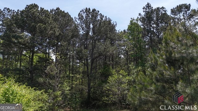 0 Moore Road Elberton, GA 30635 - Photo 38 of 67