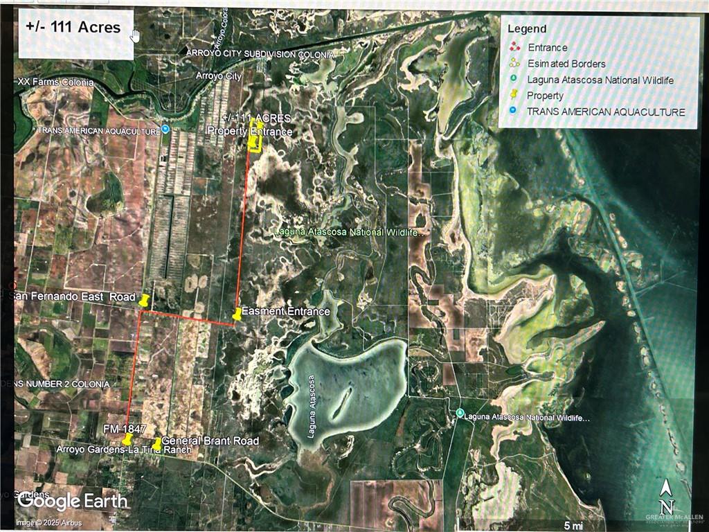 1 Fernando East Road Rio Hondo, TX 78583 - Photo 11 of 19 a picture of a tree