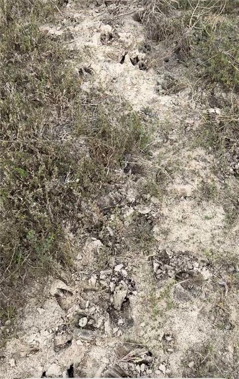 1 Fernando East Road Rio Hondo, TX 78583 - Photo 12 of 19