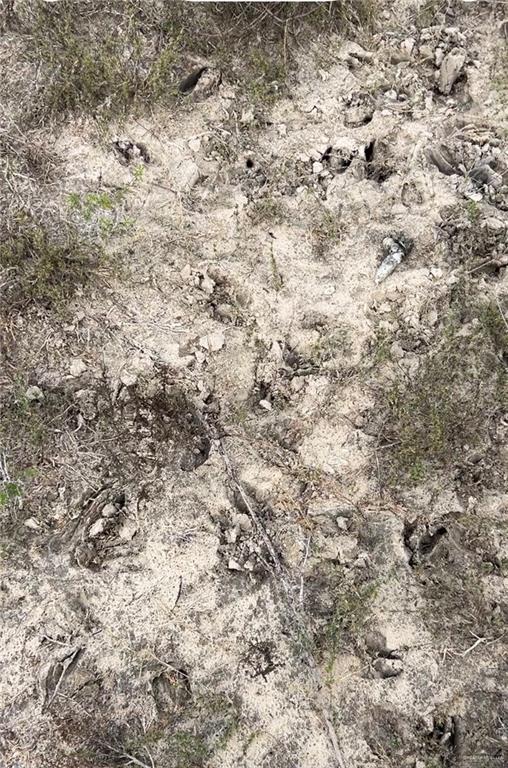 1 Fernando East Road Rio Hondo, TX 78583 - Photo 13 of 19