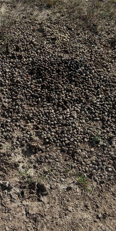 1 Fernando East Road Rio Hondo, TX 78583 - Photo 14 of 19 a view of a area