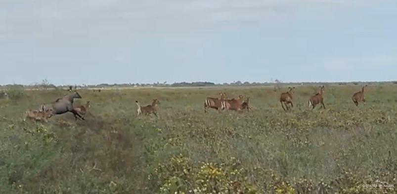 1 Fernando East Road Rio Hondo, TX 78583 - Photo 15 of 19 a view of a lake with houses in back