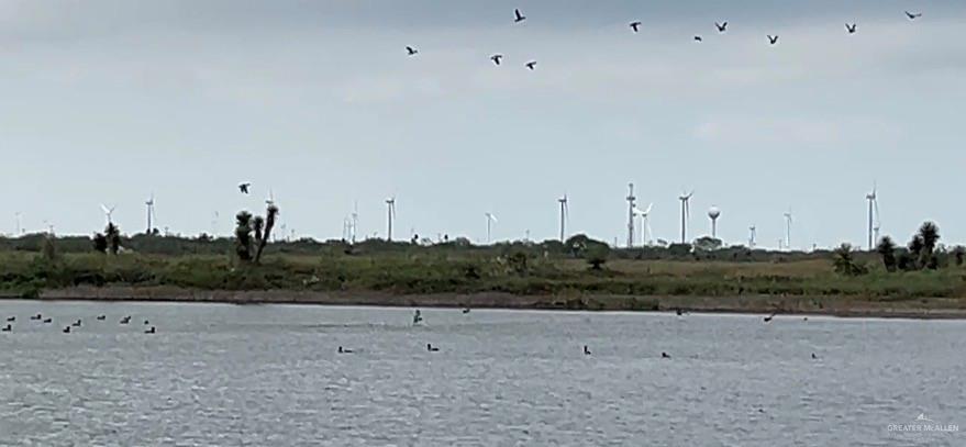 1 Fernando East Road Rio Hondo, TX 78583 - Photo 16 of 19