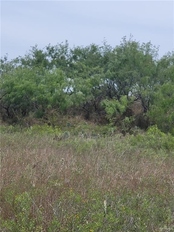 1 Fernando East Road Rio Hondo, TX 78583 - Photo 19 of 19 a view of a field with trees in background