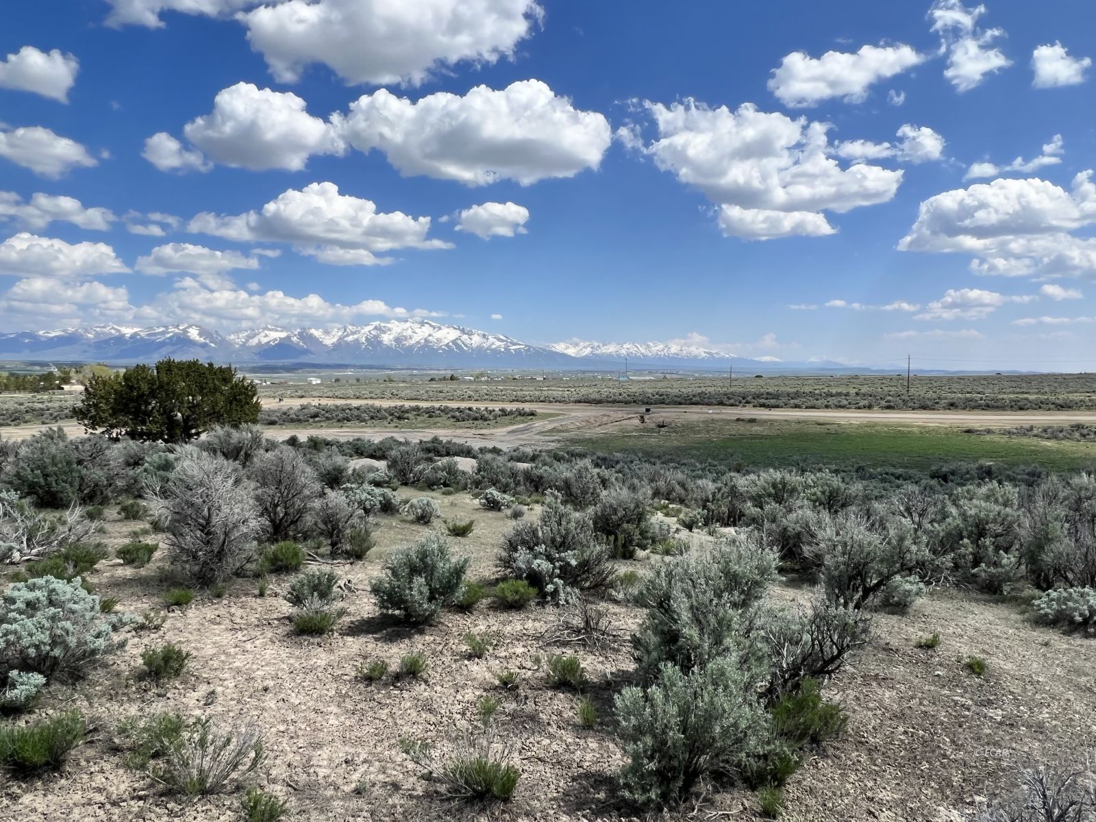 693 Buffside Drive Spring Creek, NV 89815 - Photo 6 of 14