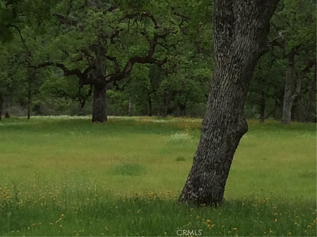1985 Flatiron Road Chico, CA 95928 - Photo 53 of 67