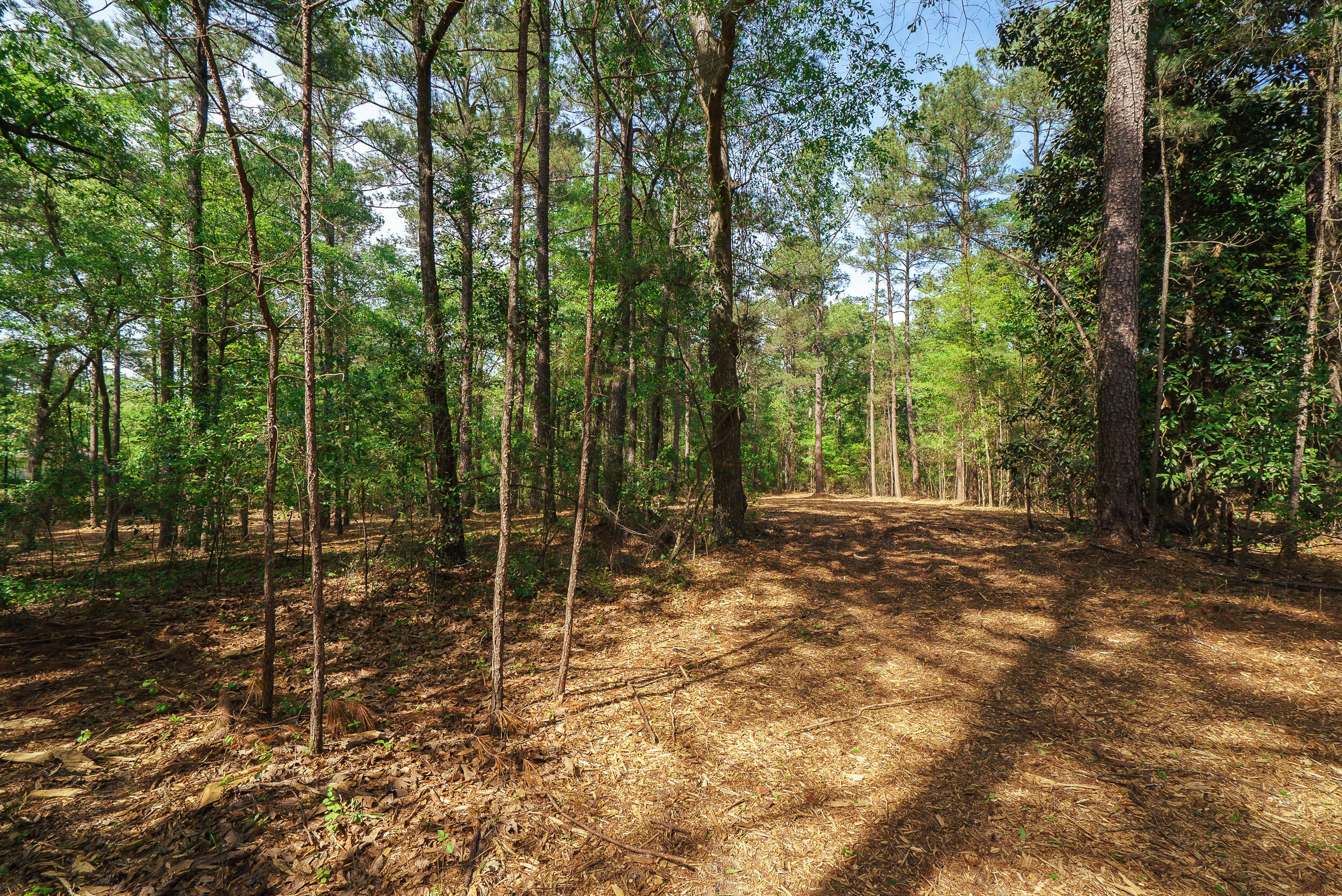 Lot 3 Banks Mill Road Southeast Aiken, SC 29803 - Photo 24 of 42